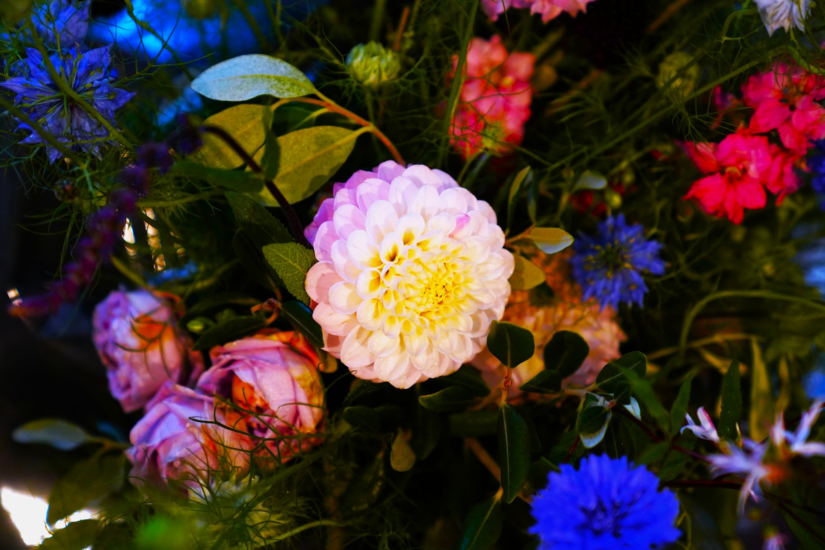 Bouquet in pink and cornflower blue