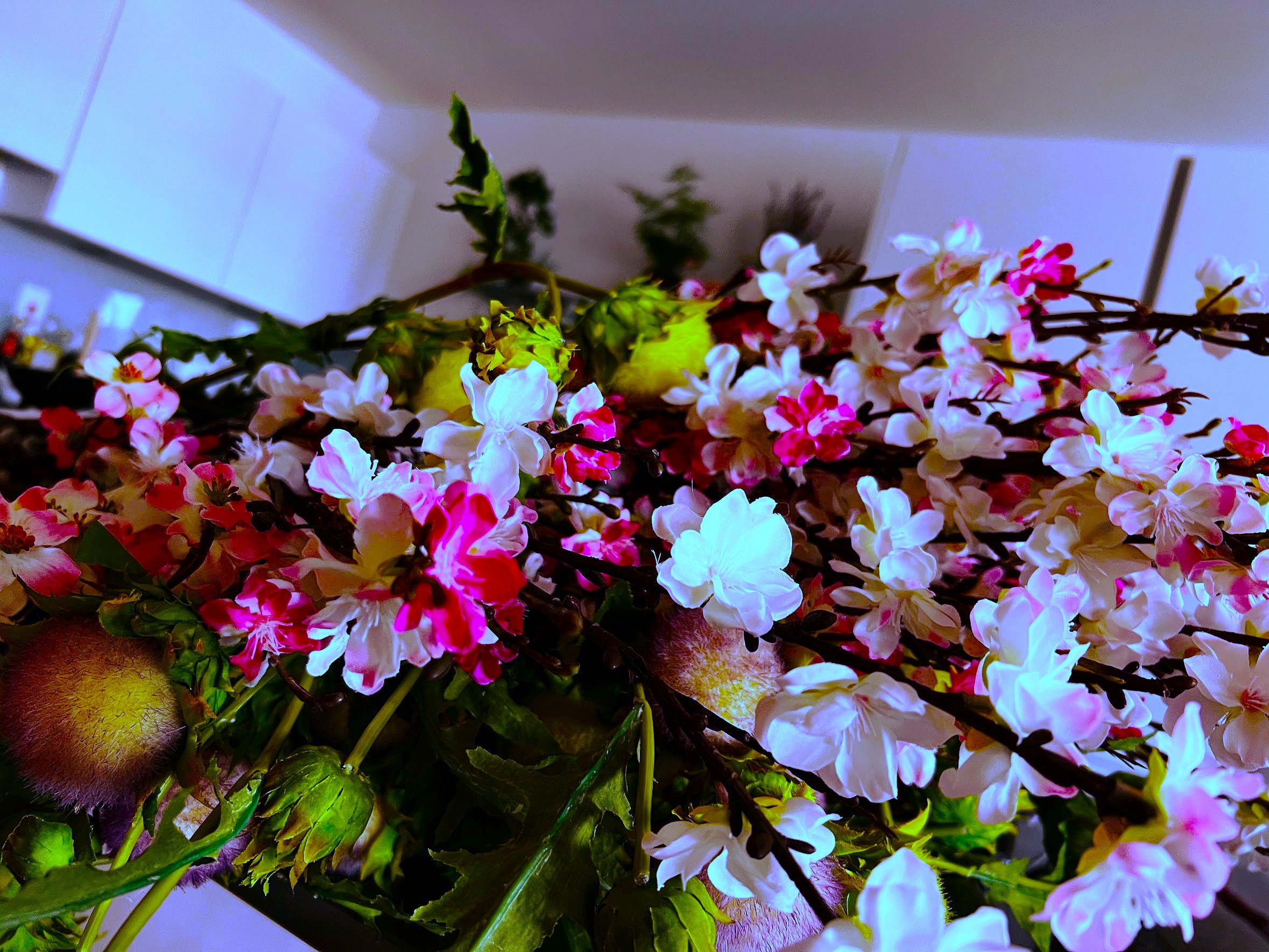 Blossom branch in high summer