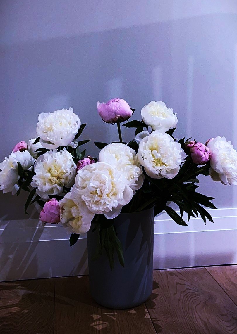 White peonies