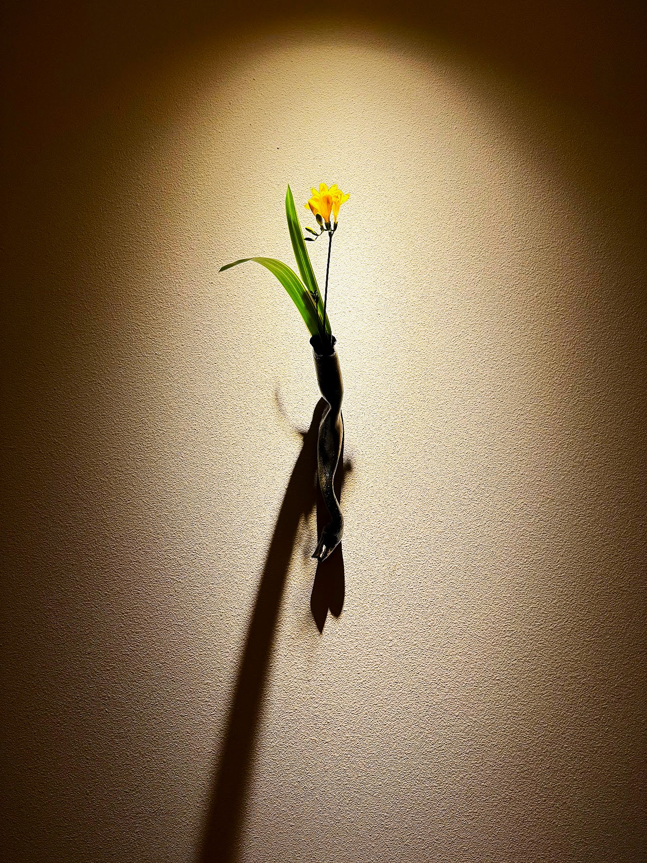 A single yellow freesia in a wall-mounted vase under a spotlight
